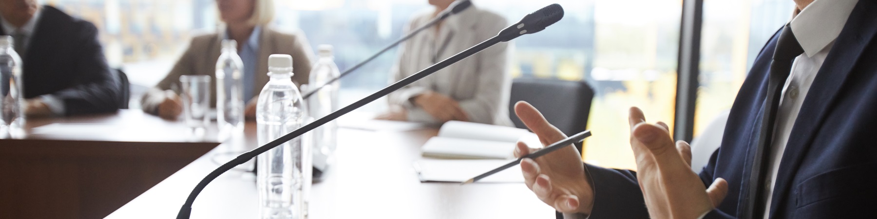 person talking in a mic during a meeting