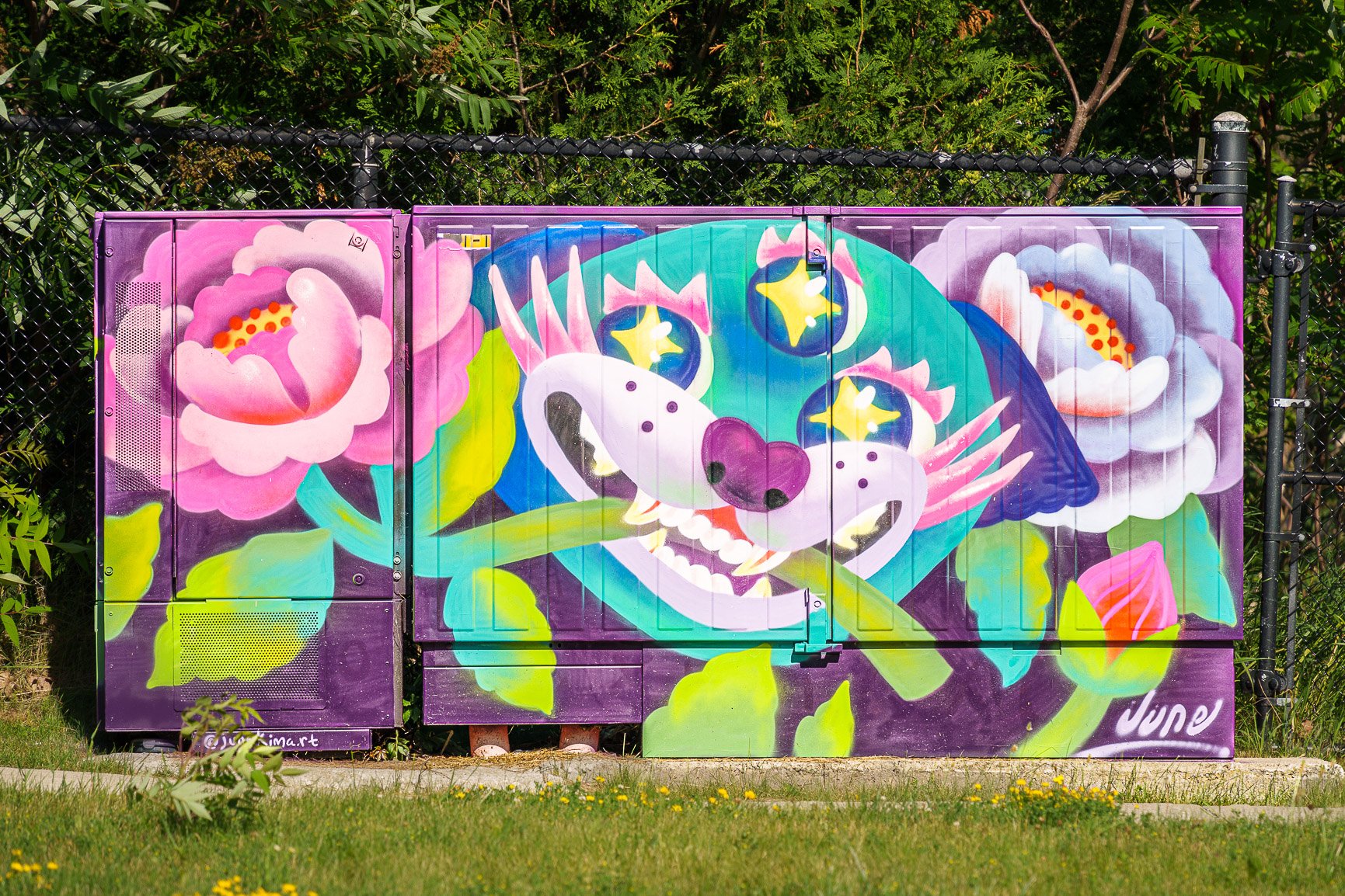 JieunKimThreeEyedDog A vibrant mural painted on an outdoor utility box features a whimsical, colorful dog with a large smiling face. The dog has a green and blue body, white snout with purple spots, and pink whiskers. Its eyes are star-shaped and yellow. Surrounding the dog are large, blooming flowers in shades of pink and purple. The background is predominantly purple with green leaves. The artist's signature "June" is visible in the bottom right corner of the mural.