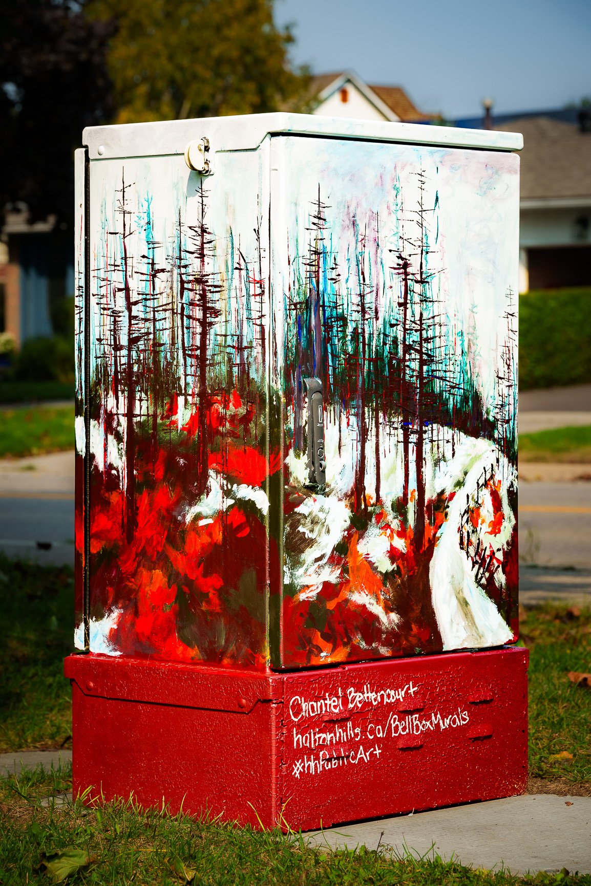 Painted outdoor box