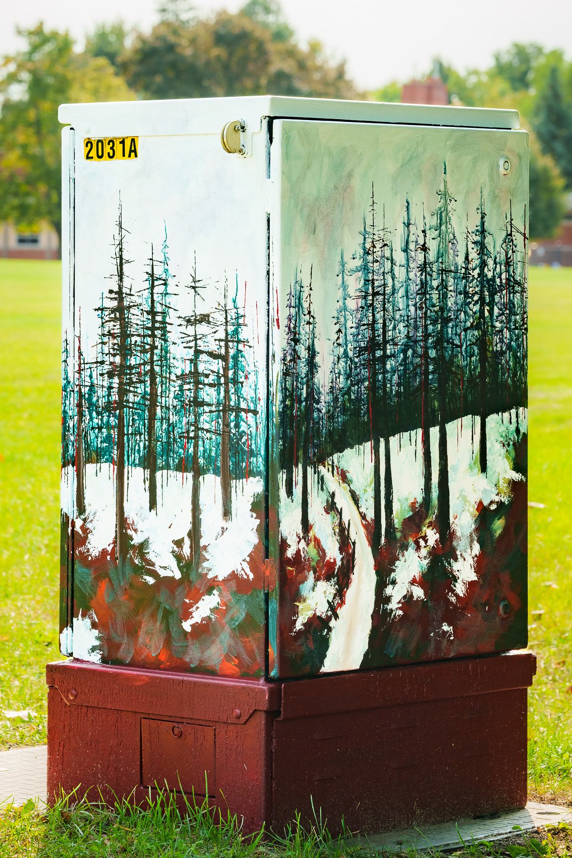 Painted outdoor box