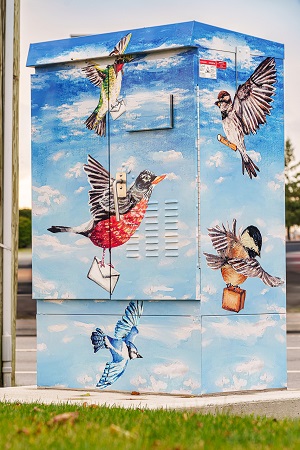 Wrapped Utility Box