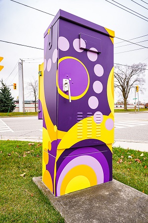 Vinyl Wrapped Utility Box